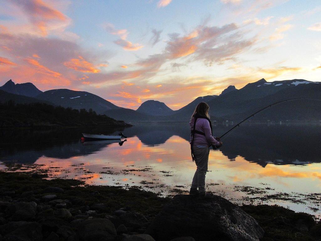 Camp Fjordbotn Galnslåtta Exterior foto